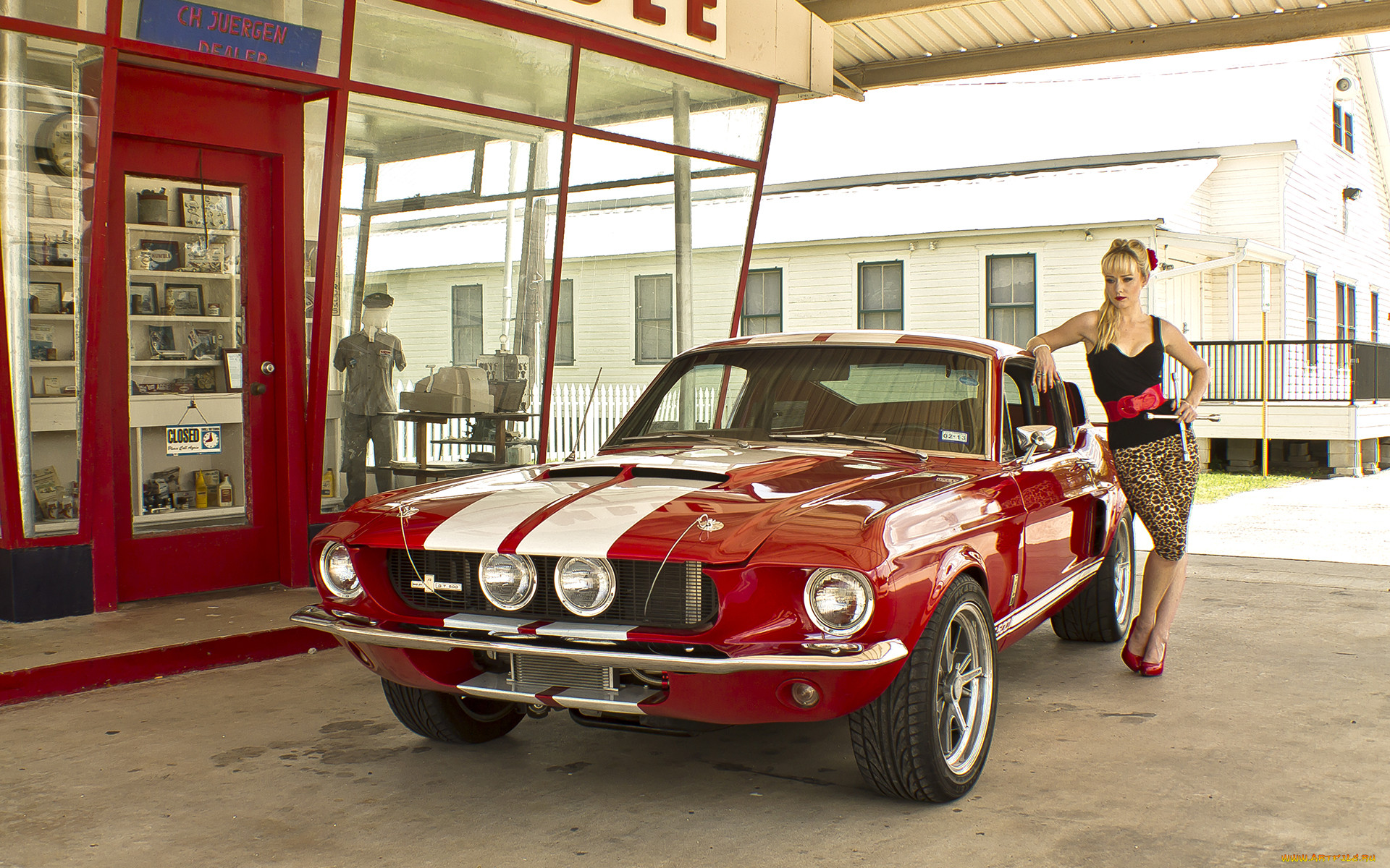 ,   , gt500, shelby, mustang, ford, , 1967